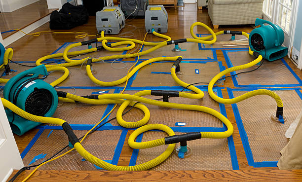 Professional Water Extraction technician working in Tarboro, NC